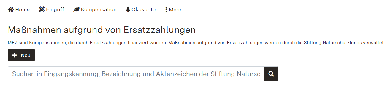 Screenshot: Übersichtstabelle Maßnahmen aufgrund von Ersatzzahlungen