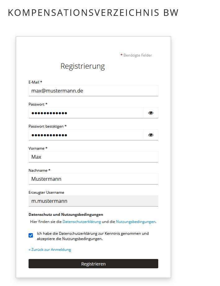 Screenshot eines ausgefüllten Registrierungsformulars mit Angaben zu: E-Mail, Passwort, Vor- und Nachname, erzeugter Username und Hinweise zu Datenschutz und Nutzungsbedingungen