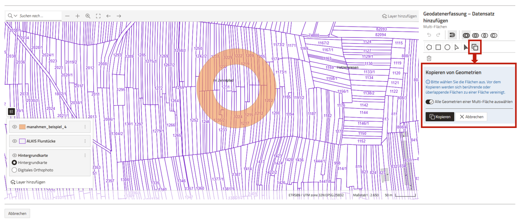 Screenshot der Geometrieerfassung mit Hervorhebung der Kopier-Funktion