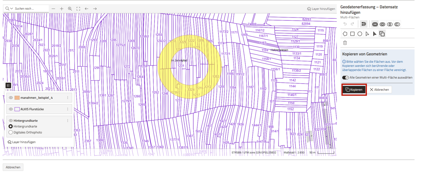 Screenshot der Geometrieerfassung mit ausgewählter und gelb markierter Geometrie und hervorgehobenem "Kopieren"-Button auf der rechten Seite