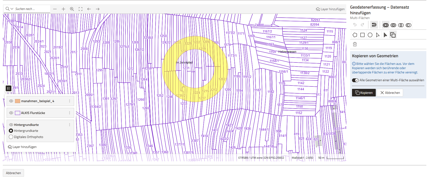 Screenshot der Geometrieerfassung mit ausgewählter und gelb markierter Geometrie
