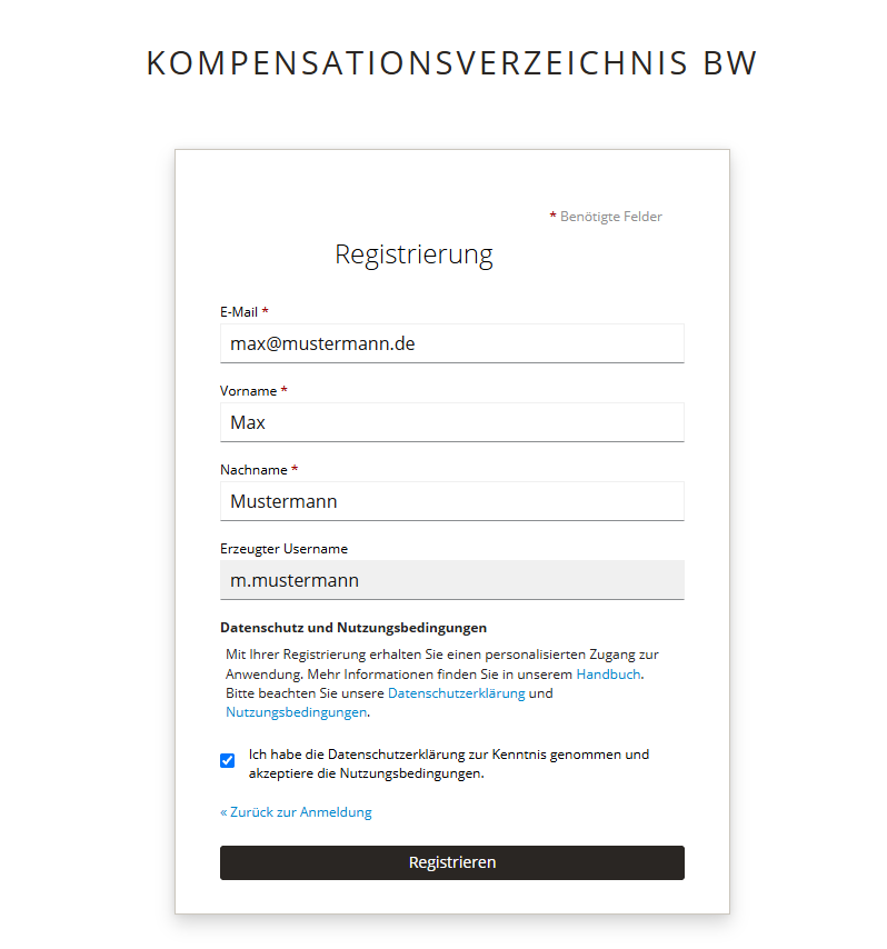 Screenshot eines ausgefüllten Registrierungsformulars mit Angaben zu: E-Mail, Vor- und Nachname, erzeugter Username und Hinweise zu Datenschutz und Nutzungsbedingungen